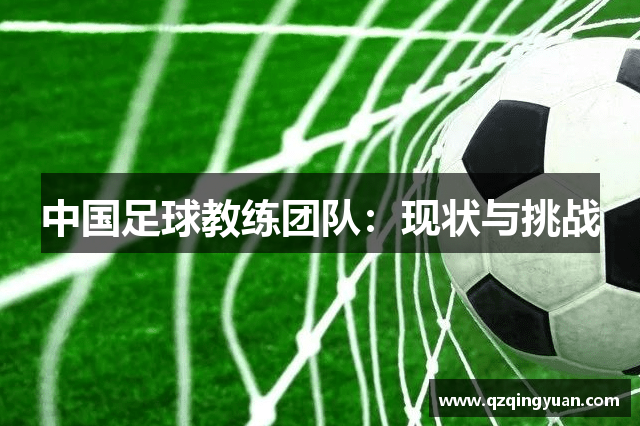 中国足球教练团队：现状与挑战